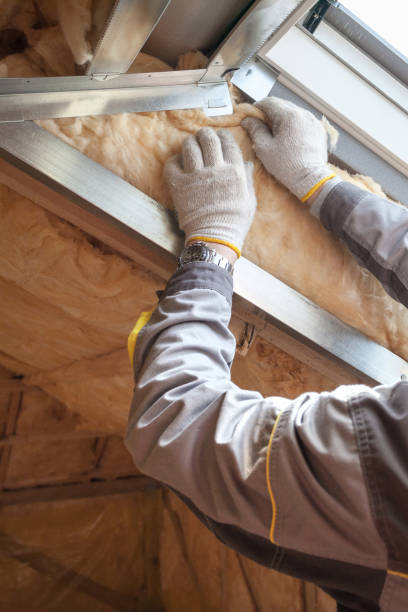 Best Residential Insulation in Waverly, TN