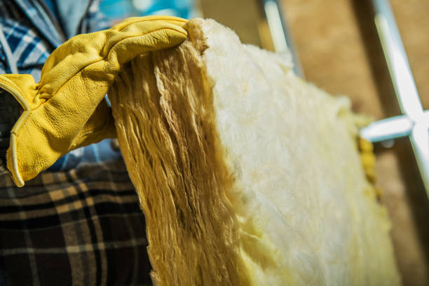 Best Insulation Maintenance and Repair in Waverly, TN