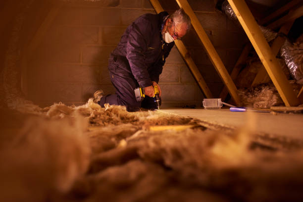 Best Geographic-Specific Insulation Services in Waverly, TN